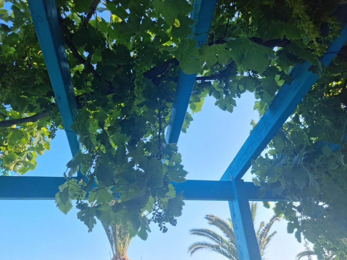 Aparthotel Artemis Makrýgialos Exteriér fotografie