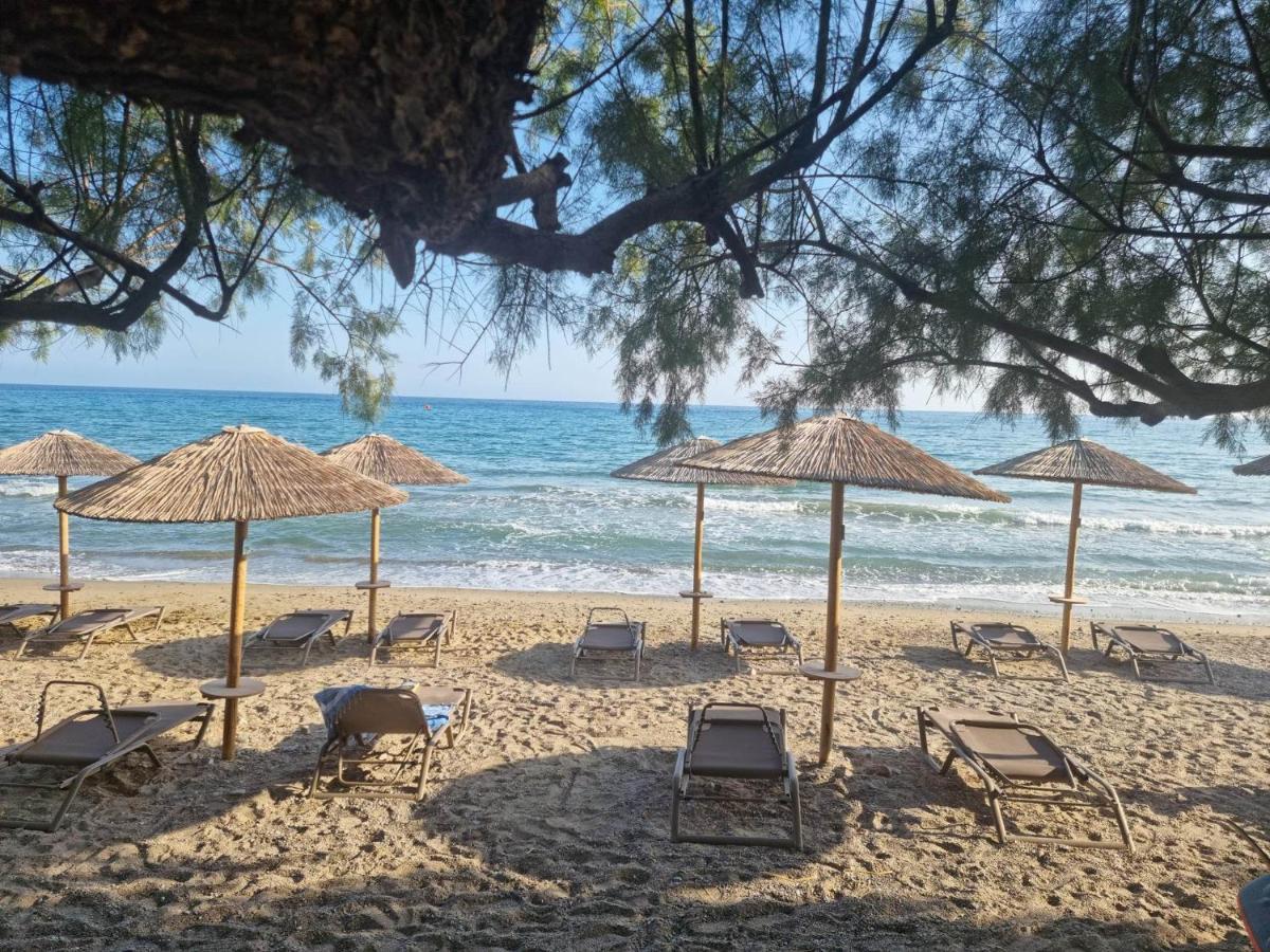 Aparthotel Artemis Makrýgialos Exteriér fotografie